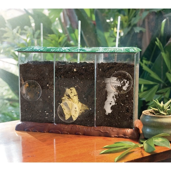 Clear Compost Container 2 Clear Compost Container - Image 2