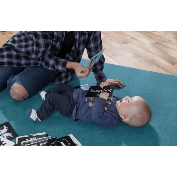 Black And White Sensory Flashcards From Hope 2 Black And White Sensory Flashcards From Hope - Image 2