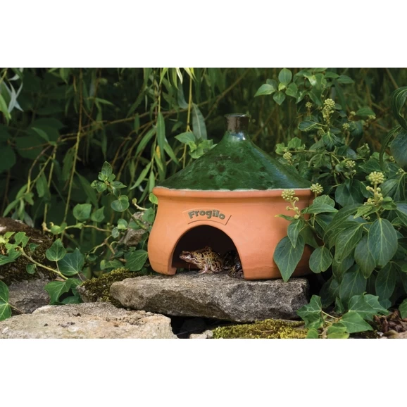 Frogilo Frog/Toad Home 2 Frogilo Frog/Toad Home - Image 2