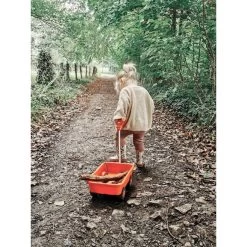 Green Toys Orange Wagon -Children Toy Shop GTWAGO1227 Orange Wagon theas little world DHdnLwwKgk