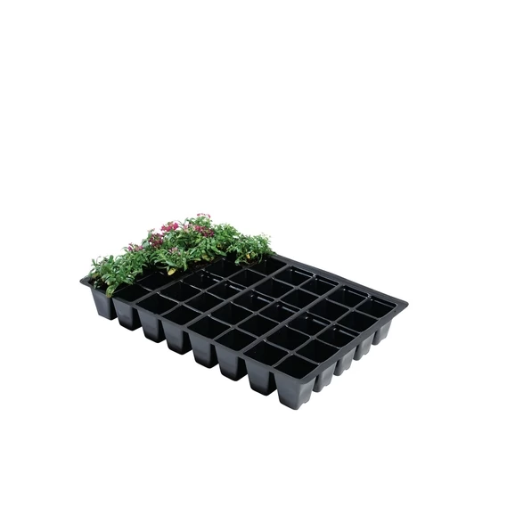 Budding Gardeners Kit 2 Budding Gardeners Kit - Image 2