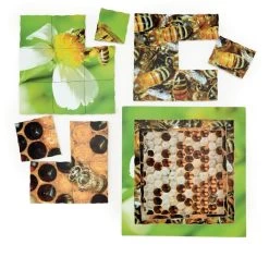 Just Jigsaws Layered Lifecycle Puzzles -Children Toy Shop HE1547463 161450 HOP JAG I01