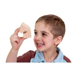 Edushape Wood-like SoftBlocks - Pack Of 80 7 Edushape Wood-like SoftBlocks - Pack Of 80 -Children Toy Shop HE1552954 162681 HOP BAT W01