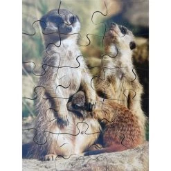 Just Jigsaws Wild Animals And Their Young -Children Toy Shop HE1765210 1423520 HOP JAG I03