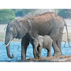 Just Jigsaws Wild Animals And Their Young -Children Toy Shop HE1765210 1423520 HOP JAG I04