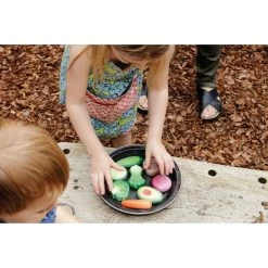 Sensory Play Stones - Vegetables -Children Toy Shop HE1824089 1427626 HOP ROL I08
