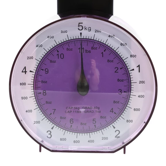 Mechanical Scales Purple 3 Mechanical Scales Purple - Image 3
