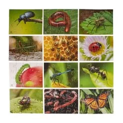 Galt Mini Beasts Puzzles -Children Toy Shop HE251842 112434 HOP JAG W01