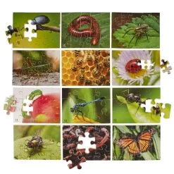 Galt Mini Beasts Puzzles