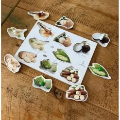 Wooden Exotic Vegetable Peg Puzzle 8 Wooden Exotic Vegetable Peg Puzzle -Children Toy Shop IMG 6338 ggA4Dtlg k