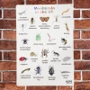 UK Minibeasts Outdoor Sign