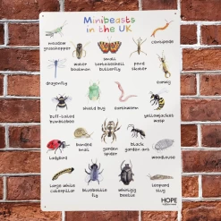 UK Minibeasts Outdoor Sign