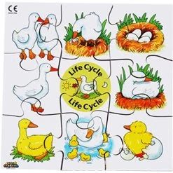 Just Jigsaws Life Cycle Puzzles -Children Toy Shop N3473D E34450