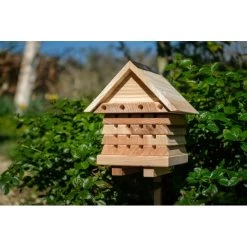 Interactive Solitary Bee Hive -Children Toy Shop SBH2 14 DbxcN0li0k