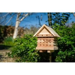 Interactive Solitary Bee Hive -Children Toy Shop SBH2 15 MYp Ccb0x0
