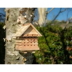 Interactive Solitary Bee Hive -Children Toy Shop SBH2 17 I1U7B91AYk