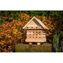 Interactive Solitary Bee Hive -Children Toy Shop SBH2 30 khzy0X1UIk